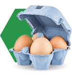 4 jajkach