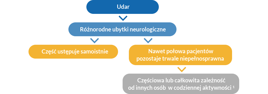 Infografika do artykułu o udarze